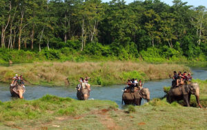Jungle safari in Chitwan