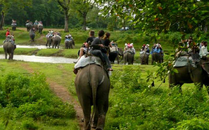 chitwan-jungle-safari-tour