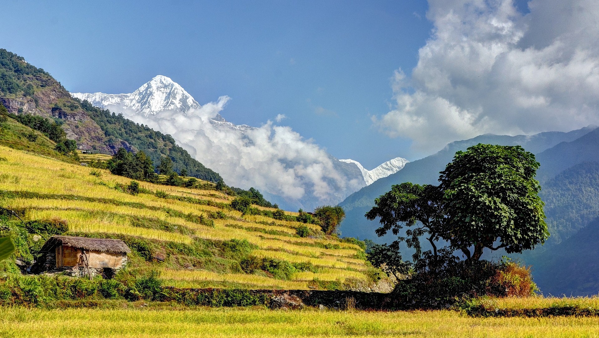view during annapurna trek