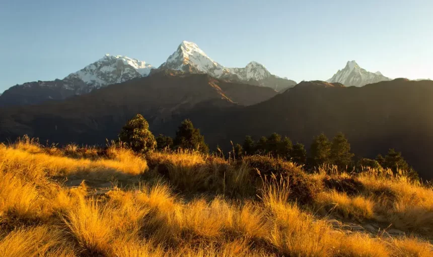 Ghorepani Poonhill Trek